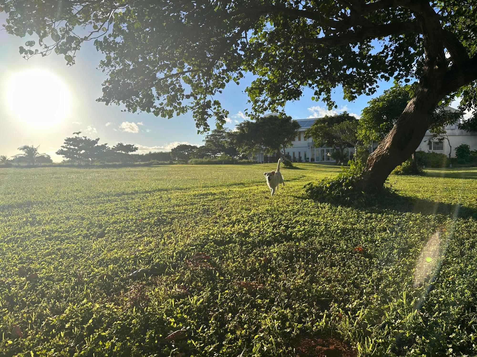 Kenting Comic B&B&Spring Heng-ch'un Exterior foto